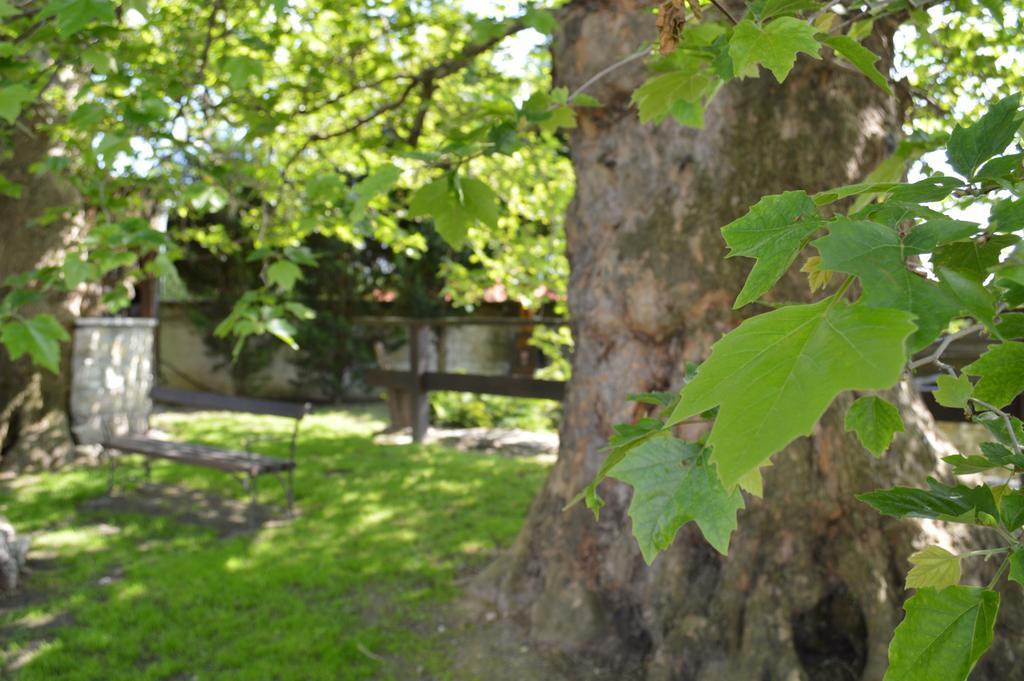 Edvy Malom Fogadó Barokk Udvarház Pápa Exterior foto